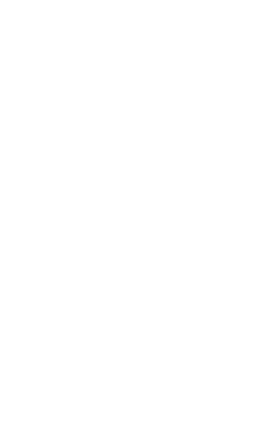 Shape Image