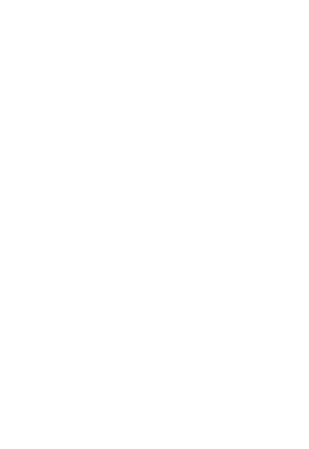 Shape Image